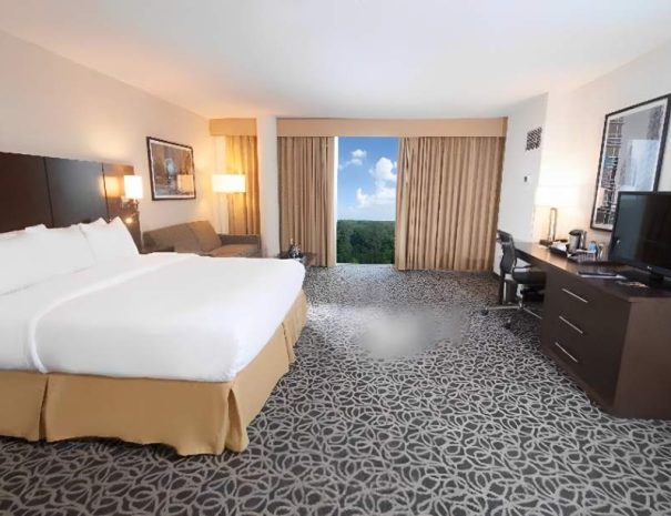 Marietta Vitality Hotel, Deluxe King Room-3