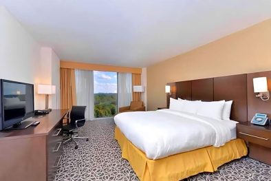Marietta Vitality Hotel, Deluxe King Room-4